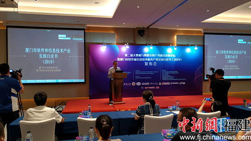 厦门软件业领跑全省，技术服务成新引擎